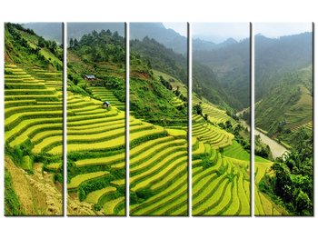Obraz Pola ryżowe Mu Cang Chai, 5 elementów, 100x63 cm - Oobrazy