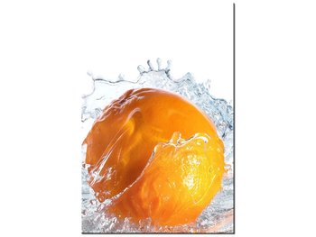 Obraz Pomarańczowy plusk, 40x60 cm - Oobrazy