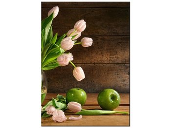 Obraz Pudrowy tulipan, 50x70 cm - Oobrazy