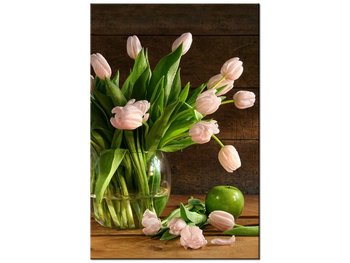 Obraz Pudrowy tulipan, 60x90 cm - Oobrazy