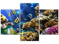 Obraz Rafa koralowa, 3 elementy, 90x60 cm - Oobrazy