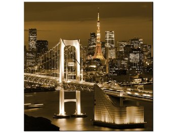 Obraz Rainbow Bridge w Tokio, 40x40 cm - Oobrazy