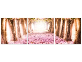 Obraz Romantyczna alejka, 3 elementy, 90x30 cm - Oobrazy