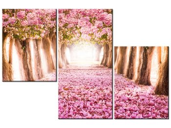 Obraz Romantyczna alejka, 3 elementy, 90x60 cm - Oobrazy