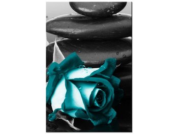Obraz Roses and spa, 20x30 cm - Oobrazy