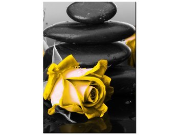 Obraz Roses and spa, 50x70 cm - Oobrazy