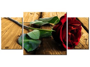 Obraz, Róża dla ukochanej, 3 elementy, 80x40 cm - Oobrazy