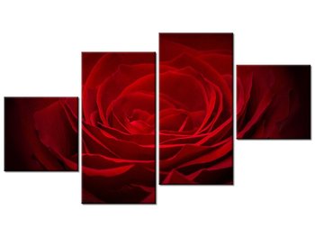 Obraz Róża dla ukochanej, 4 elementy, 160x90 cm - Oobrazy