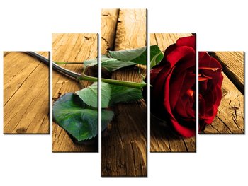 Obraz, Róża dla ukochanej, 5 elementów, 100x70 cm - Oobrazy