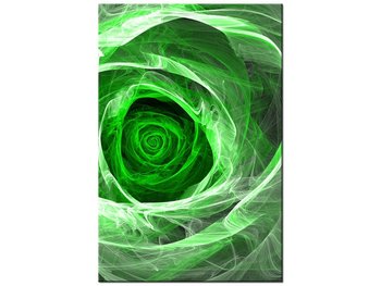 Obraz Róża fraktalna green, 60x90 cm - Oobrazy