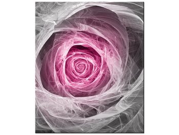 Obraz Róża fraktalna w fuksji, 50x60 cm - Oobrazy