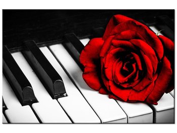 Obraz Róża na fortepianie, 60x40 cm - Oobrazy