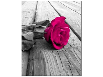 Obraz Róża na moście, 40x50 cm - Oobrazy