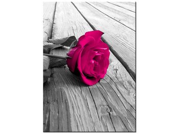 Obraz Róża na moście, 50x70 cm - Oobrazy