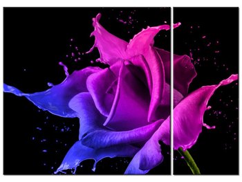 Obraz Róża z farb - Jakub Banaś, 2 elementy, 70x50 cm - Oobrazy