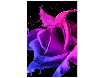 Obraz Róża z farb - Jakub Banaś, 40x60 cm - Oobrazy