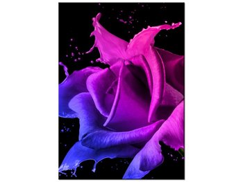 Obraz Róża z farb - Jakub Banaś, 50x70 cm - Oobrazy