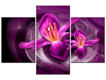 Obraz Różowe kosmiczne kwiaty - Jakub Banaś, 3 elementy, 90x60 cm - Oobrazy
