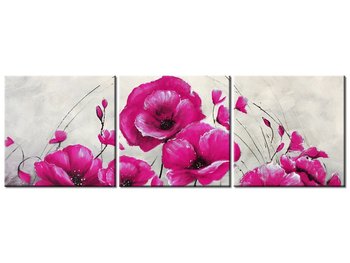 Obraz Różowe Maki, 3 elementy, 120x40 cm - Oobrazy
