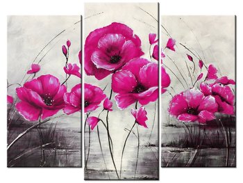 Obraz Różowe Maki, 3 elementy, 90x70 cm - Oobrazy
