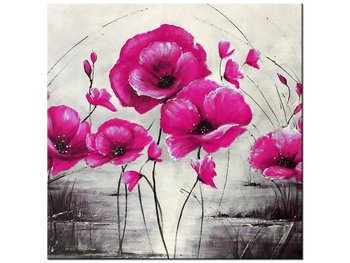 Obraz Różowe Maki, 40x40 cm - Oobrazy