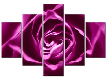 Obraz Różowo-fioletowa róża, 5 elementów, 100x70 cm - Oobrazy