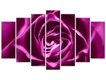 Obraz Różowo-fioletowa róża, 7 elementów, 140x80 cm - Oobrazy