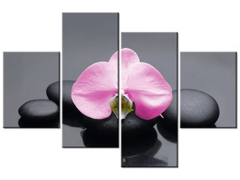 Obraz Różowy storczyk, 4 elementy, 120x80 cm - Oobrazy