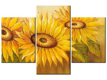 Obraz Rumiane słoneczniki, 3 elementy, 90x60 cm - Oobrazy