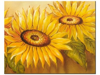 Obraz Rumiane słoneczniki, 50x40 cm - Oobrazy