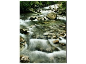 Obraz Rzeka w Tatrach, 30x40 cm - Oobrazy