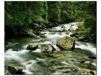 Obraz Rzeka w Tatrach, 50x40 cm - Oobrazy