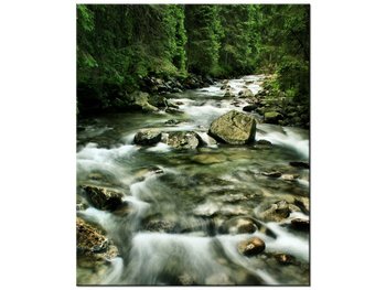 Obraz Rzeka w Tatrach, 50x60 cm - Oobrazy