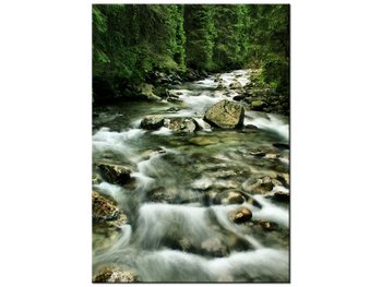 Obraz Rzeka w Tatrach, 50x70 cm - Oobrazy