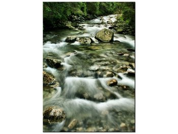 Obraz Rzeka w Tatrach, 50x70 cm - Oobrazy