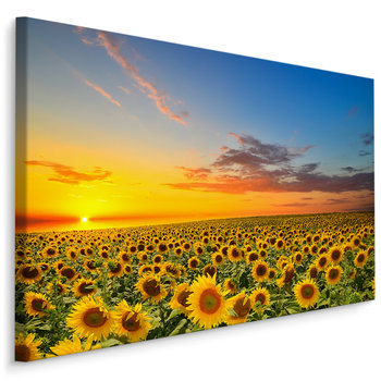 Obraz Ścienny Do Jadalni ZACHÓD SŁOŃCA Słoneczniki Kwiaty Pejzaż 3D 70cm x 50cm - Muralo