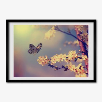 Obraz ścienny z ramką TULUP Kwiat wiśni i motyl 70x50 cm - Tulup