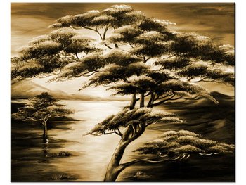 Obraz Silne drzewa, 50x40 cm - Oobrazy