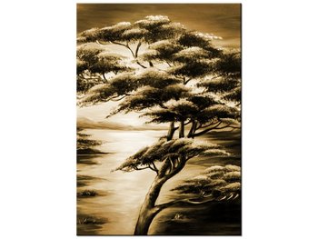 Obraz Silne drzewa, 50x70 cm - Oobrazy
