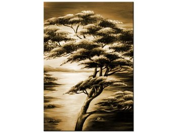 Obraz Silne drzewa, 70x100 cm - Oobrazy
