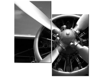 Obraz Sinik samolotowy, 2 elementy, 60x60 cm - Oobrazy
