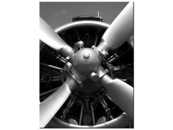 Obraz Sinik samolotowy, 30x40 cm - Oobrazy