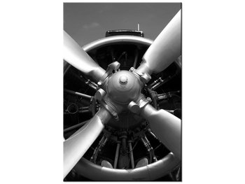 Obraz Sinik samolotowy, 60x90 cm - Oobrazy