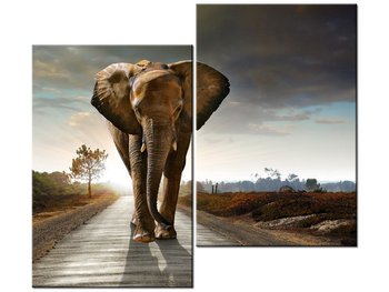 Obraz Słoń, 2 elementy, 80x70 cm - Oobrazy