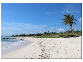Obraz Słoneczna plaża - Members Hotel Network, 100x70 cm - Oobrazy
