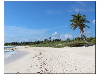 Obraz Słoneczna plaża - Members Hotel Network, 50x40 cm - Oobrazy