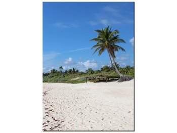 Obraz Słoneczna plaża - Members Hotel Network, 50x70 cm - Oobrazy