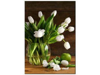 Obraz Śnieżnobiałe tulipany, 70x100 cm - Oobrazy