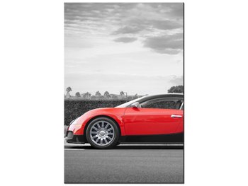 Obraz Sportowe Bugatti Veyron - Axion23, 80x120 cm - Oobrazy
