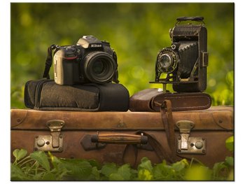 Obraz Spotkanie po latach, 50x40 cm - Oobrazy